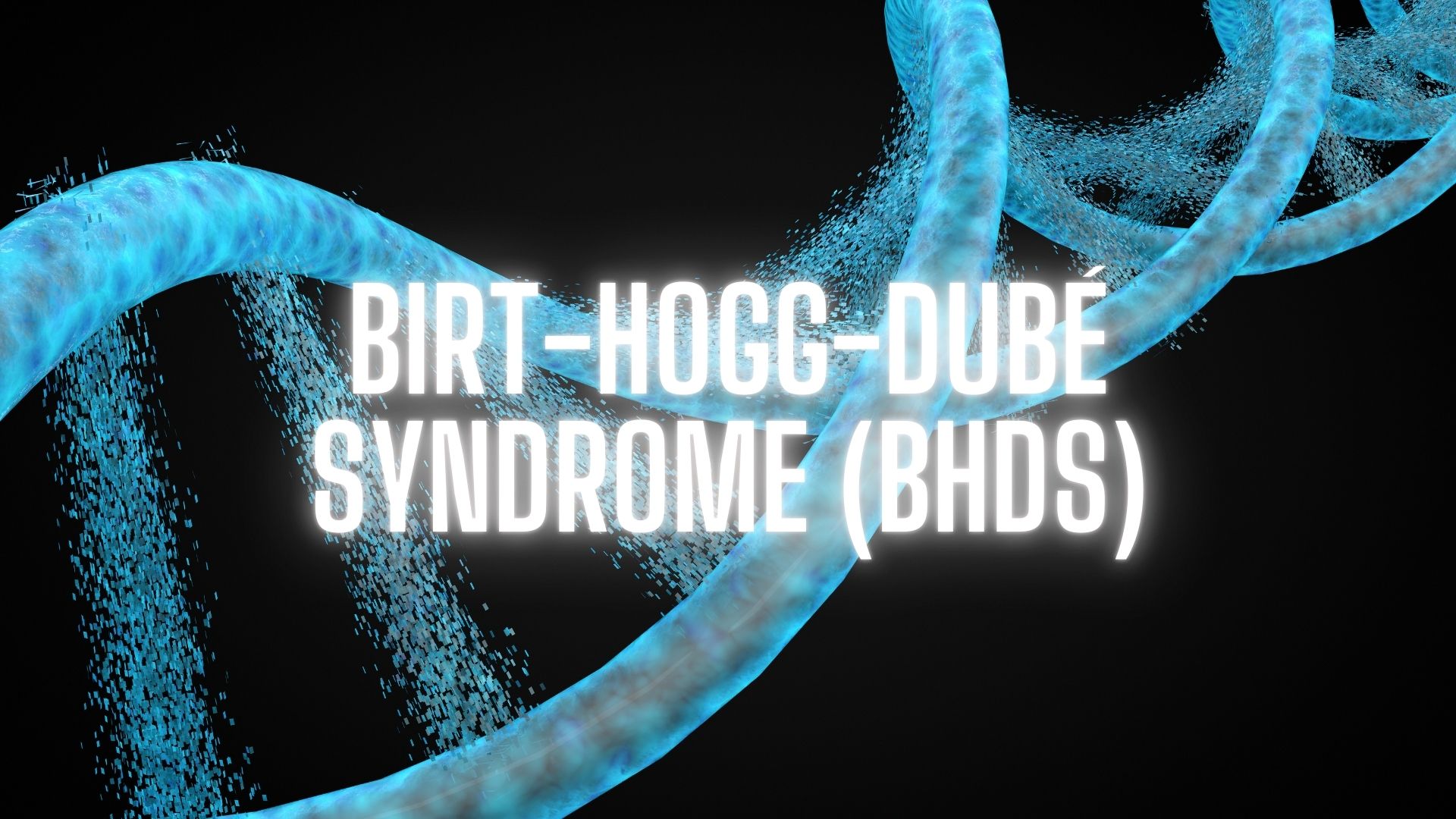 Birt-Hogg-Dubé Syndrome (BHDS)