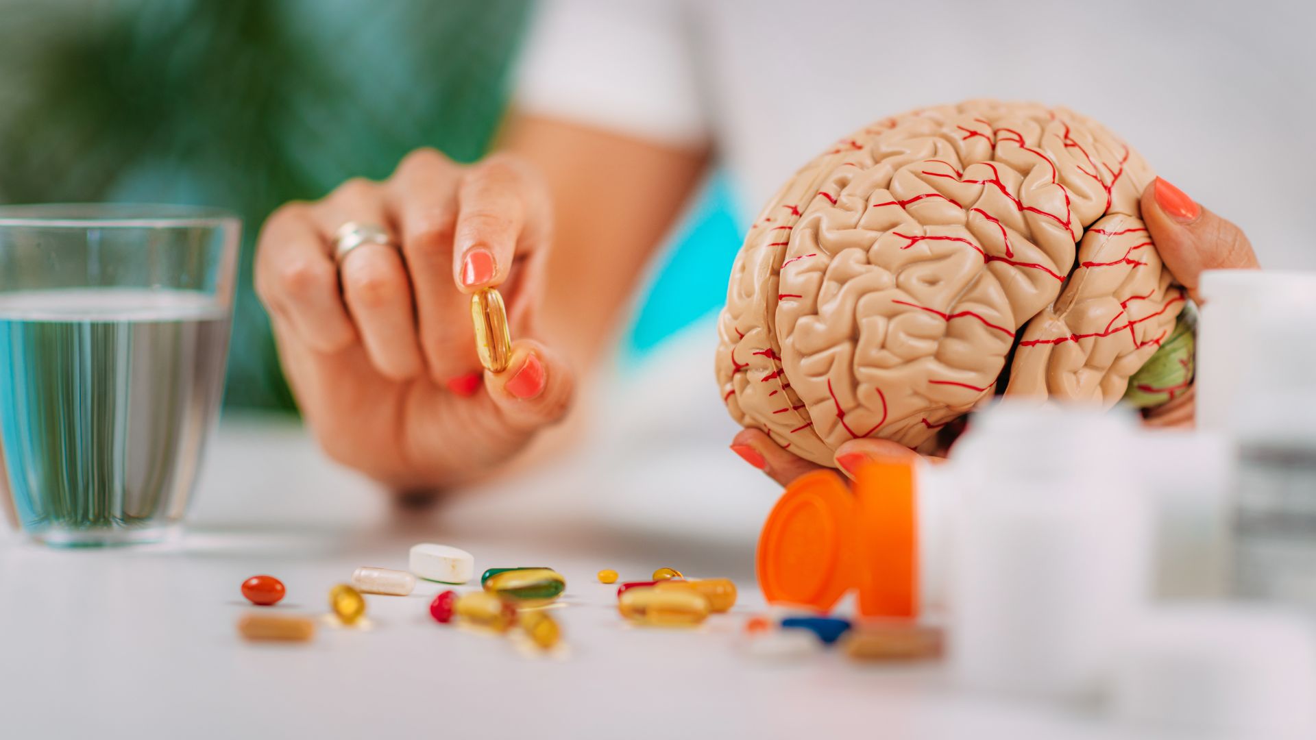 Brain focus supplements