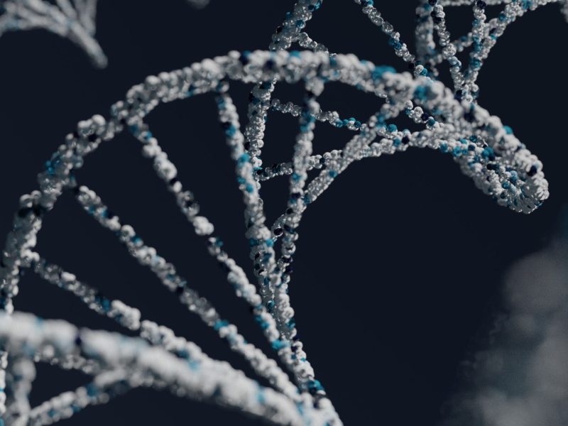 DNA-Based Treatment Programs