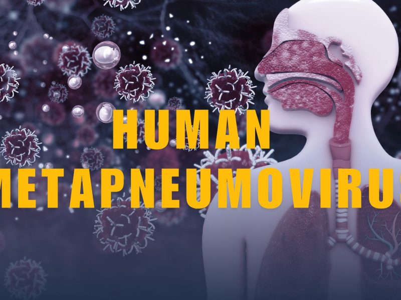 Human Metapneumovirus